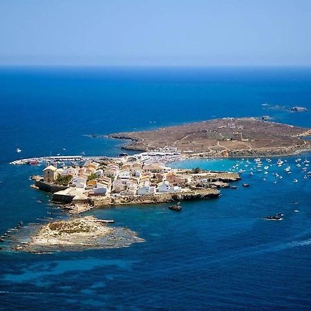 Very Lightful Apartment. Incredible Sea Views. Big Terrace, Swimming Pool. Ac. Very Close To Alicante City Center. 外观 照片