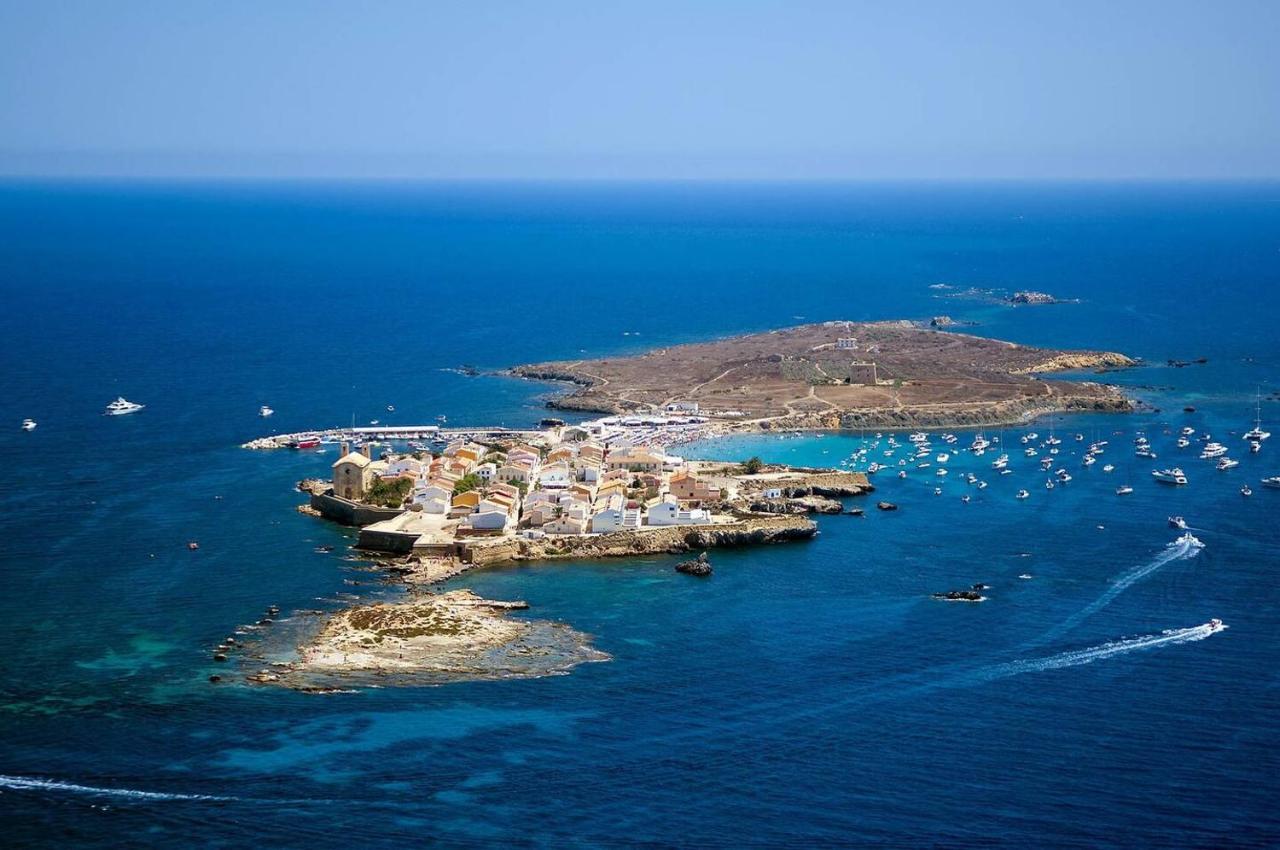Very Lightful Apartment. Incredible Sea Views. Big Terrace, Swimming Pool. Ac. Very Close To Alicante City Center. 外观 照片